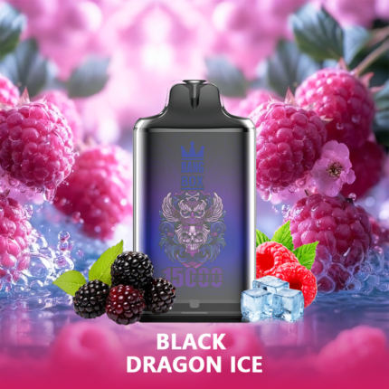 BANG BOX S1-15000 Puffs Disposable Vape-Black Dragon Ice