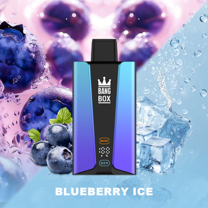BANG BOX 30000 Puffs Disposable Vape-Blueberry Ice