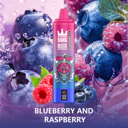 BANG BOX 20000 Puffs Double Flavor Disposable Vape - Blueberry Sour Raspberry Ice