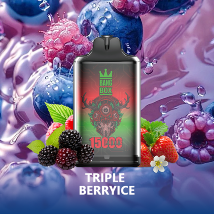 BANG BOX S1-15000 Puffs Disposable Vape-Triple Berryice