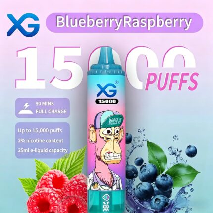 Blueberry Raspberry-15000 Puffs Disposable Vape